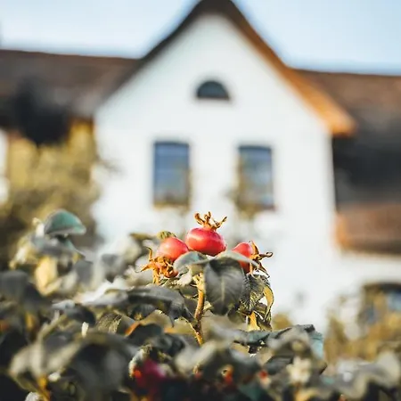 Rickmer's Hoff Apartman