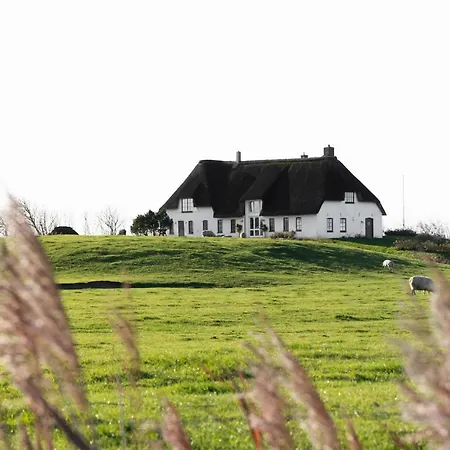 Rickmer's Hoff Reetdachhaus Mit Sauna Und Kamin *