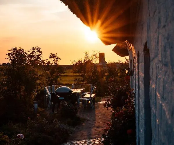 Rickmer's Hoff Reetdachhaus Mit Sauna Und Kamin *